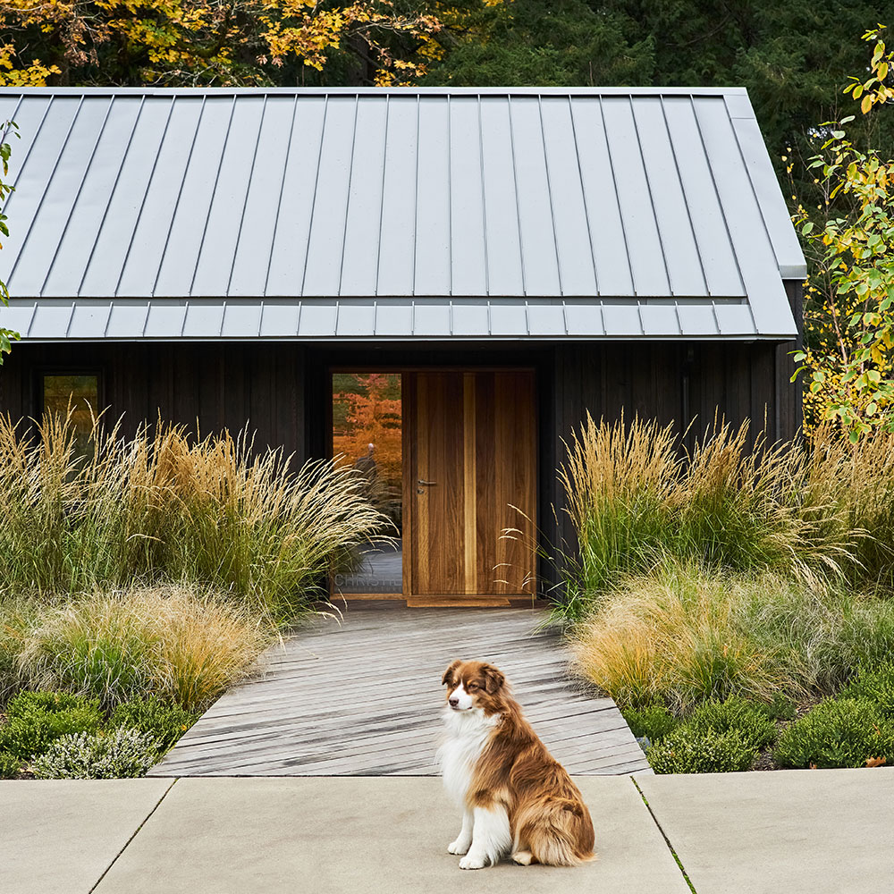 Stella, an Australian Shepherd dog, sits in front of the Christie Architecture Studio, which will be featured on The Portland Modern Home Tour.
