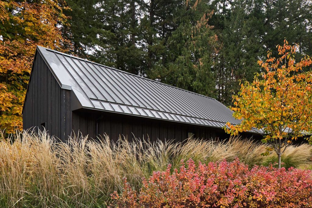 The Christie Architecture studio rises above a landscape filled with grasses and spirea.