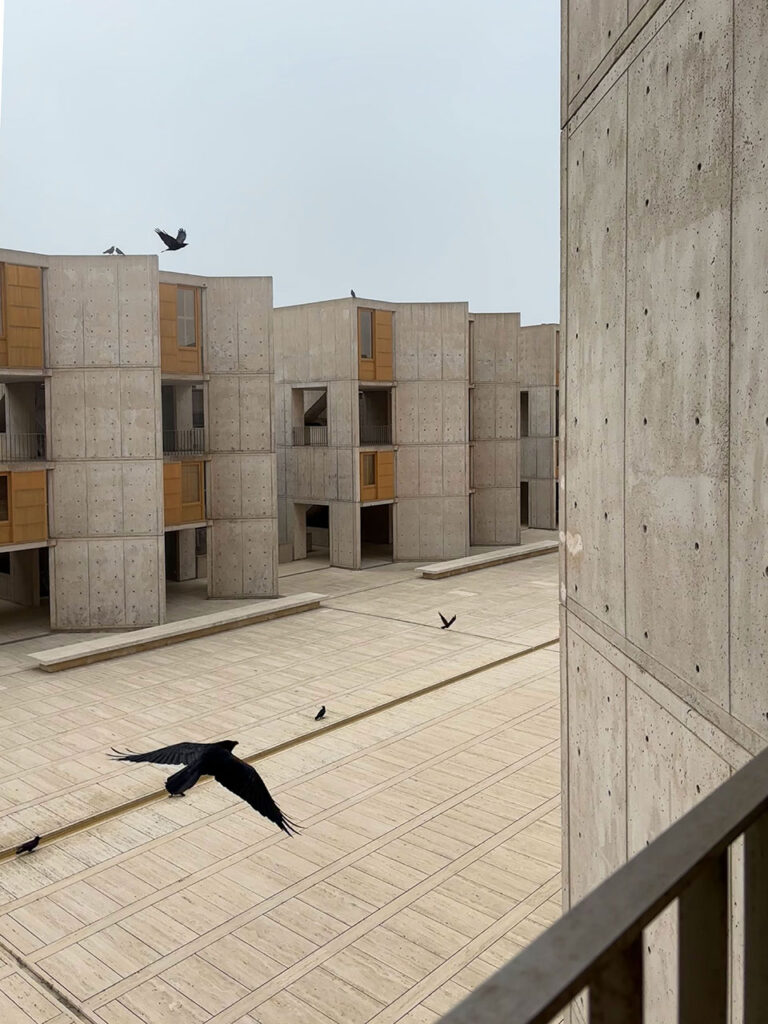 View looking out a stair tower landing with crows flying over the plaza.