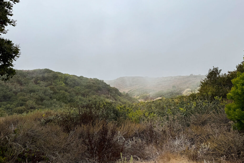 View from the lower patio over the rolling hills that lead to the ocean, which is not visible because it's covered with fog.