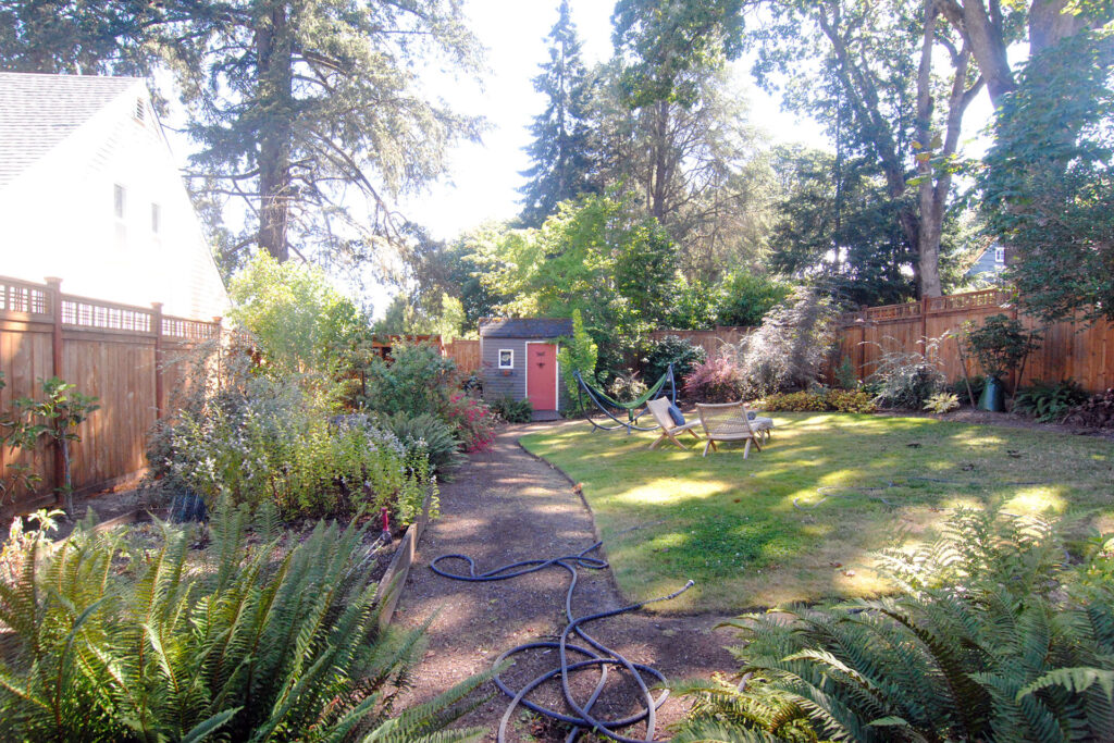 The backyard of the existing house has a lawn, an old shack, and is surrounded by large, mature trees.